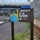 [제주도당일치기 2탄]산도롱맨도롱 갈비국수/카페청굴물/느랏스테이