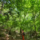 오두산 치유숲 이미지