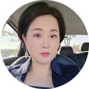 와이드비스