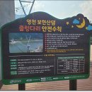 보현산댐 별빛전망대 이미지