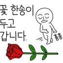 하얀집진주냉면 이미지