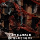 영화 킬룸 결말 스포 평점 관람평 후기 우마 서먼 새뮤얼 L. 잭슨 갤러리 돈세탁 킬러 예술가 코미디