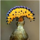 소망 행정사 사무소 이미지