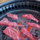 안나축산 이미지