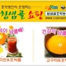 참샘골 이미지