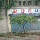 언니랑개 이미지