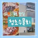 [강원도속초]청초수물회본점 방문후기