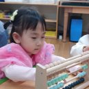 동글개 이미지