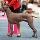 스카이동물병원 이미지