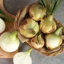 더조은푸드 이미지