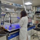 일산고봉고봉1 이미지