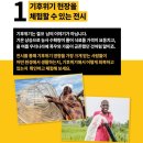 25.11/1(토) 국제구조위원회 전시&amp;플로깅 이미지