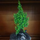 무이농장 이미지