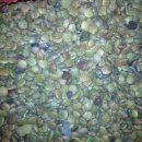 솔로몬농장 이미지