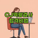 마스타카닥터 | CJ 역량검사 합격, AI면접과 신역검 준비 꿀팁 대방출!