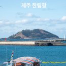 제주산책