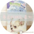 조은피앤피 | <강아지 패드> 푸르미패드 사용후기♥