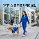 펫피파니 | 아디다스 펫 의류 사이즈 추천 성수 매장 사는법 완벽 정리