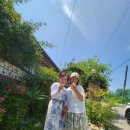 꽃냥이네 촌집 이미지