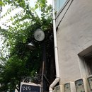 최국희약국 이미지