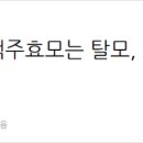 새조은약국 이미지