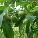 고흥사랑민박 이미지