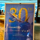 美  cafe | 🐋 오키나와 츄라우미 수족관 완벽 가이드 | 입장료·운영시간·할인정보 총정리