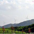 하늘아래목장 이미지