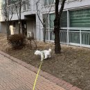 1월 일상 - 설 연휴 200% 즐기기