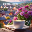 데이지커피 Daum카페