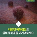 테르엔 이미지