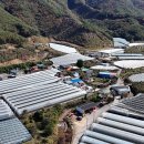 중모초등학교 이미지