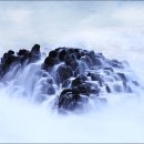 경북 경주 읍천 네이버블로그