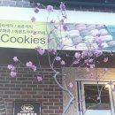 마카롱코코 이미지