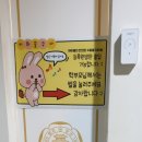 꿈꾸다피아노