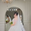 해피비즈 | <렌느 브라이덜> 변형가능한 탑 비즈 드레스 피팅후기