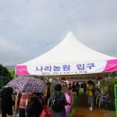 '양주 천만송이 천일홍 축제' 10일전 풍경 (2024.9.18.수) 이미지