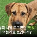 모란제2농장 이미지