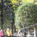 골든코스트 이미지