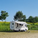 광일태양광주식회사 | 승용차 주차장에 들어가는 5인승 캠핑카 ♥ 아비크560 ♥ 국산 캠핑카 추천 코반알브이