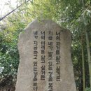 힐모텔 | 부산 여행 2일차 달려라 코스 (해동용궁사, 엑스더스카이, 밸리곰, 스카이캡슐)