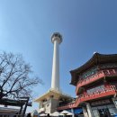 용두산공원 | 부산 가볼만한곳 부산타워 전망대 후기｜용두산공원 산책 코스 부산타워