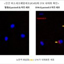 엔솔 - 안산시 단원구 광덕대로 175 | 엔솔