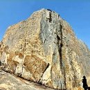 바닷가 숲속 이미지