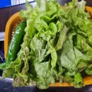 좋다좋아생고기 이미지