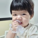 퍼기 큐피드 치발기 사용 후기 5개월 아기에게 딱이에요