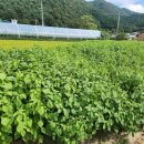 소로3-292 이미지