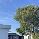 레프트핸더 스테이 이미지