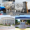 토우충전소 | 경주 여행 코스 추천 BEST5 실내 가볼만한곳 놀거리 꿀팁