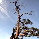 마니산솔바위 이미지